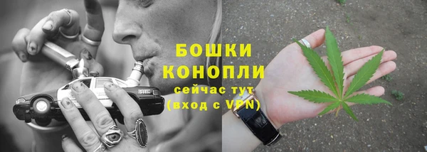 Альфа ПВП Новозыбков