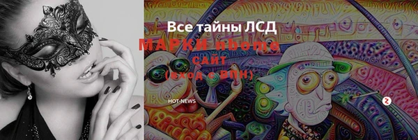 дмт Новокубанск