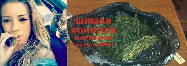 Альфа ПВП Новозыбков