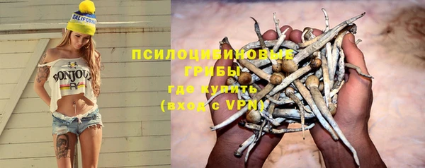 ECSTASY Армянск